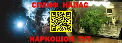 PSILOCYBIN Малоярославец