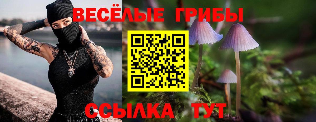 Галлюциногенные грибы ЛСД Черняховск