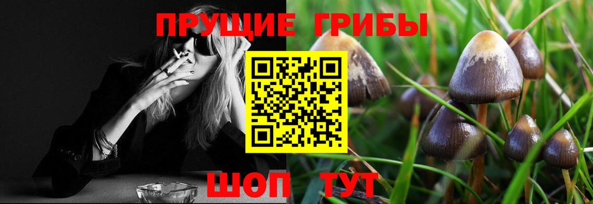 Псилоцибиновые грибы прущие грибы  наркота  Псилоцибиновые грибы прущие грибы  Черняховск  Вход с VPN 
